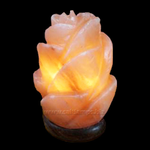 Flower Shape Salt Lamp
